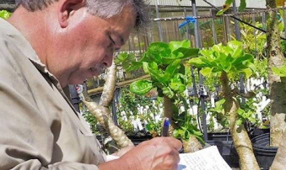 Photo: Mike Demotta is the curator for living collections at Hawaii's National Tropical Botanical Garden. Credit: ILO Photo/John Isaac