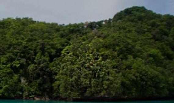 Ngeanges Island, Palau. Credit - https://www.islandconservation.org