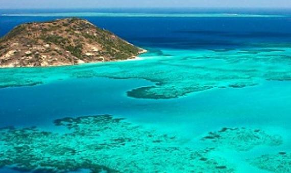 A growing body of work shows that marine animals are attracted to the sounds of healthy environments. Photo by Oliver Lucanus/NiS/Minden Pictures