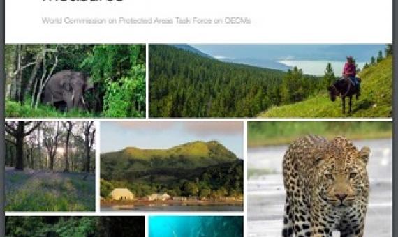 OECM guidance document cover