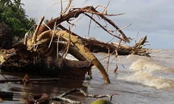 Credit - Koroi Tadulala, www.fbcnews.com.fj