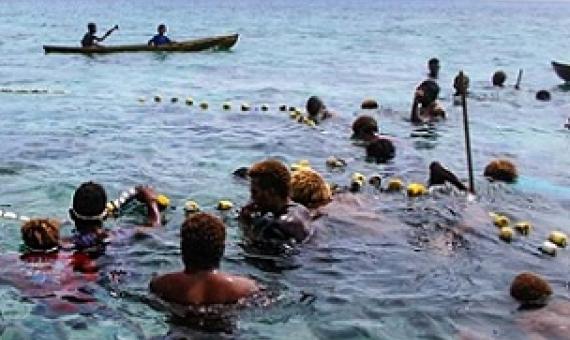 In various coastal villages around Solomon Islands, the use of passive devices were used in the past. Photo: Ronald F. Toito’ona
