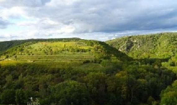 Scientists reveal urgent solutions for boosting Protected Areas effectiveness. Credit - CC0 Public Domain