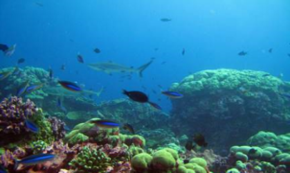 The Phoenix Islands Protected Area. Credit - MELAD