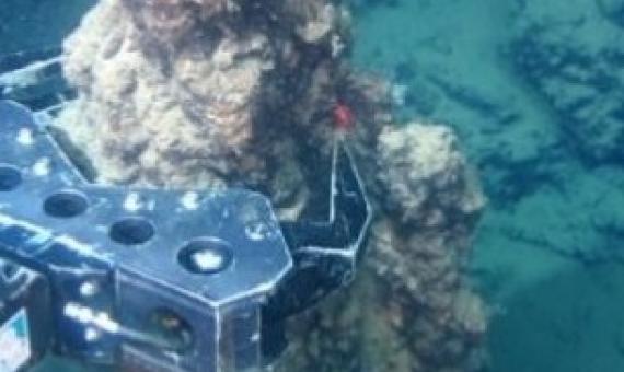 deep sea mining. Credit - 123RF