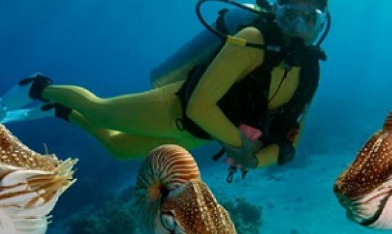 Around 20% of Palau’s workforce is employed in the tourism sector. (Image: J.W.Alker / Alamy)