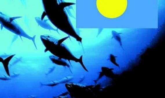 Palau national marine sanctuary. Source - https://islandtimes.org/