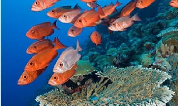 Credit - Reinhard Dirscherl—ullstein bild/Getty Images