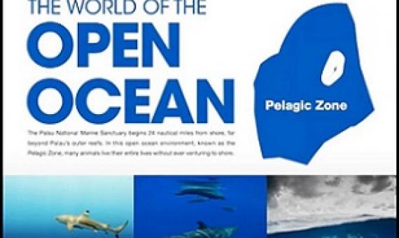 Credit - https://islandtimes.org/