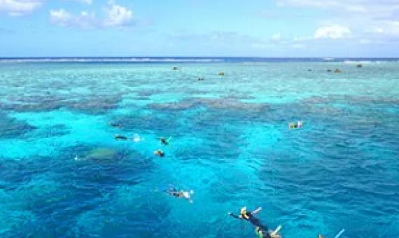 Swimmers, divers and snorkelers said they experience significantly more marine life in fully protected areas, but not partially protected areas. Shutterstock