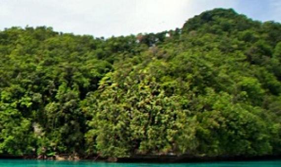 Ngeanges Island, Palau. Credit - https://www.islandconservation.org