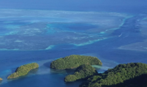 Coral bleaching happening again, study shows
