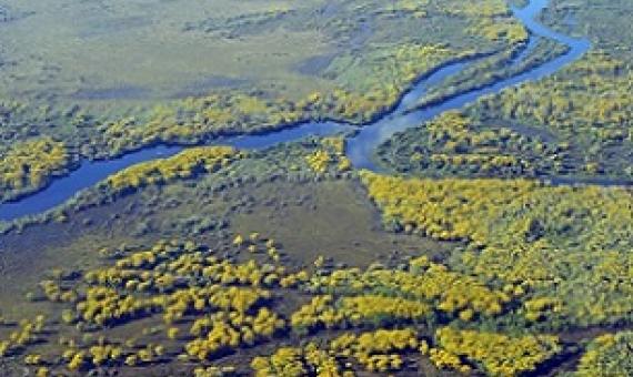 Pantanal Conservation Area, Brazil. Credit - Jose Sabino/Pixabay