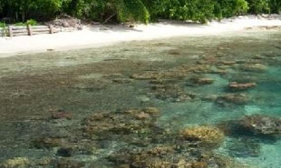 Gatokae Island, Marovo Lagoon. Solomon Islands. Credit - Tripadvisor.com