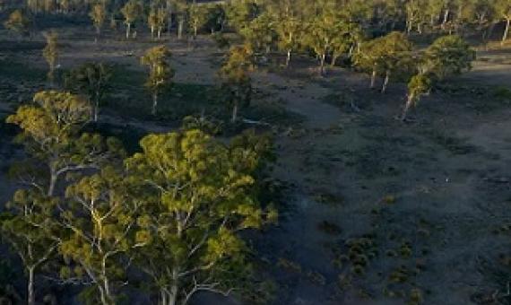 Prosser River Reserve is home to at least 11 at-risk plant and animal species. Photograph: TLC/Rob Blakers/The Guardian