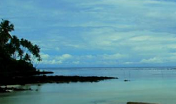 Informing the post-2020 Global Biodiversity Framework: Overcoming Obstacles to Develop Biodiversity Baseline Data in Small Island Developing States (Session 1)