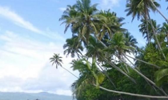 Qamea Island, off which are the two proposed development sites. The area is renowned for its world-class diving. Photo: Gary Stein 