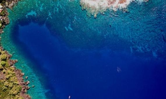 A look at Honaunau Bay on the Big Island from the GAO’s ultra-high resolution imager. Image by Greg Asner, Arizona State University Center for Global Discovery and Conservation Science