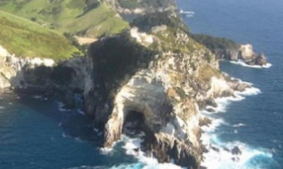 The 330-hectare Rakitū Island is now officially predator free. Source: rnz.co.nz
