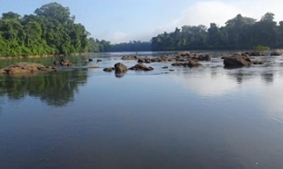 Half of all rivers in the world heavily impacted by humans. Credit: Sebastien Brosse