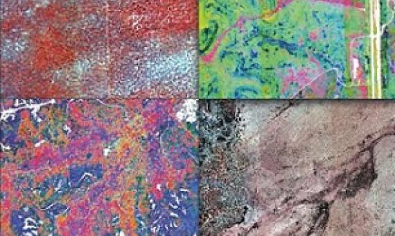 Plant species diversity in four different ecosystems represented as spectral variation. Credit: Anna Schweiger, Etienne Laliberté