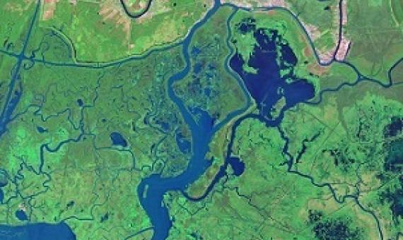 Over 8,000 satellites are orbiting Earth today, capturing images like this, of the Louisiana coast. Credit: NASA Earth Observatory