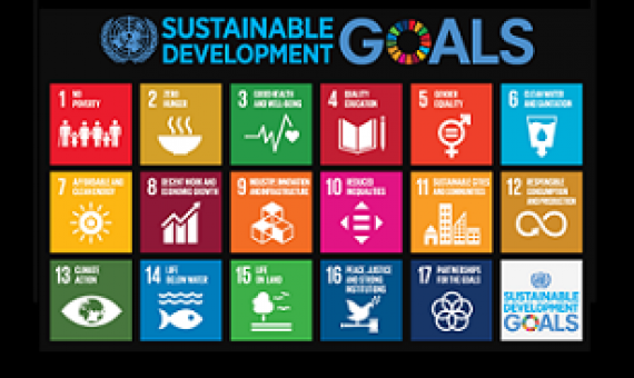 UN Sustainable Development Goals. Credit - UN