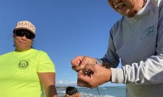 Limu Hui coordinator Wally Ito shows some limu to participants of the organization’s regular limu walks in Hawai‘i, which help locals connect with local seaweed species. Image by Kim Moa/KUA.