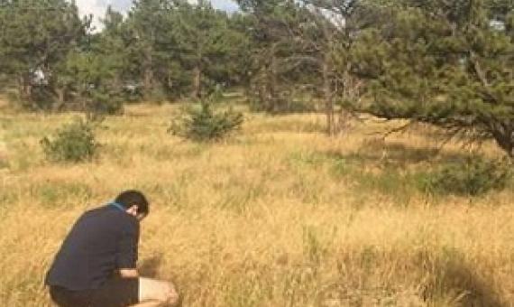 Credit: Manuel Delgado Baquerizo