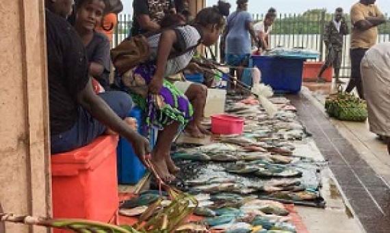 Fish for sale at the Gizo Fish Market. Photo: George J. Maelagi.