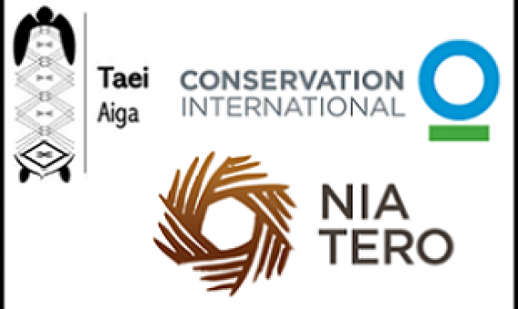 Sue Taei fellowship organising committee logo. Credit - https://www.suetaeioceanfellowship.org/