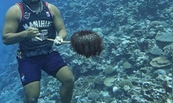 Image source - https://www.cookislandsnews.com/