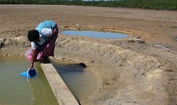 Credit - Tropical Paradise Adventures Fiji Tours and Transfers, Fiji