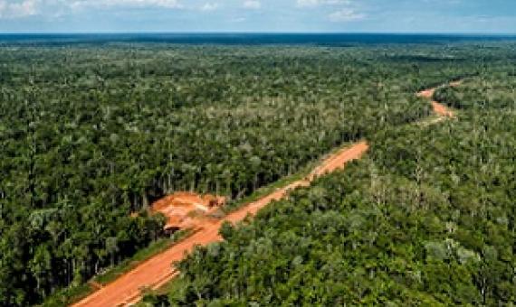 The Trans-Papua Highway, still under construction, cuts through a pristine rainforest in Papua province in Indonesia. Credit - ULET IFANSASTI/GREENPEACE