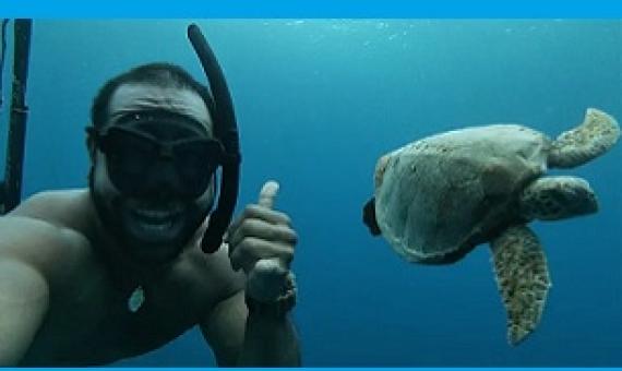 Credit - JinNam Hopotoa