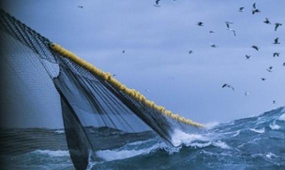 Greenpeace calls for marine protected areas in Taiwan. Credit - Getty Images