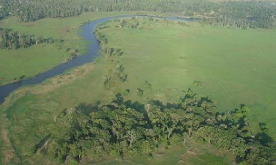 Tonda Wildlife Management Area, Papua New Guinea. Credit - Iain Taylor