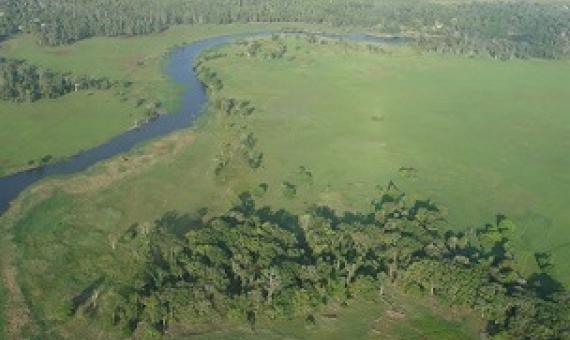 Tonda Wildlife Management Area, Papua New Guinea. Credit - Iain Taylor