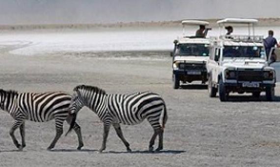 Sustaining Conservation in a Pandemic. Photo: Tim Graham/Getty Images