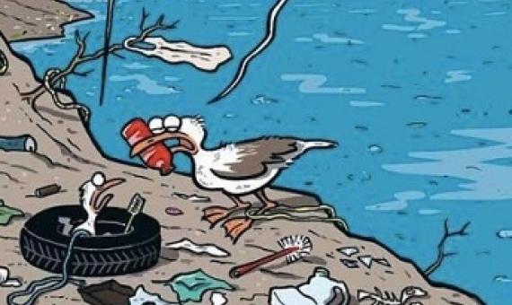  Is the UK doing enough to protect the world’s oceans?