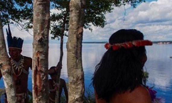 Global leaders will meet for a critical biodiversity summit in Kunming, China to set new goals for protecting nature. Source - https://phys.org/