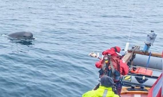 Credit: University of St Andrews