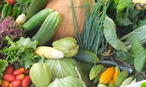 Fresh vegetables. Credit - https://www.innov4agpacific.net/