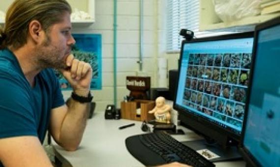 David Burdick, a research associate at the University of Guam Marine Laboratory, looks through the online database of the UOG Biorepository. (UNIVERSITY OF GUAM)