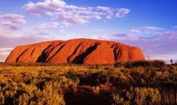 Photograph: imagebroker/Alamy