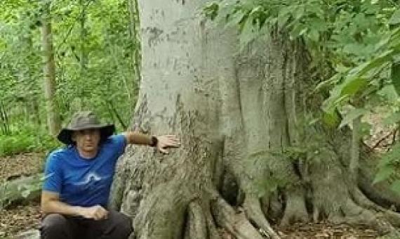 Former University of Delaware postdoctoral research fellow Carl Rosier poses with 300-year-old American Beech Tree. Credit: University of Delaware