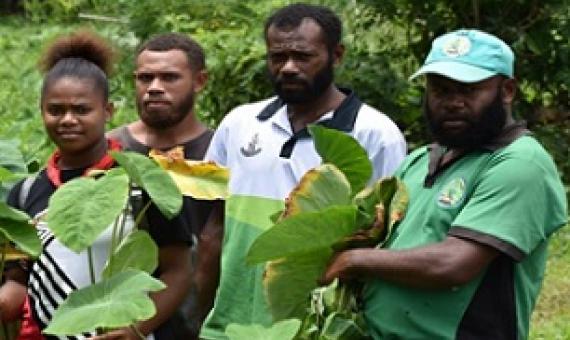 Credit - https://www.dailypost.vu/