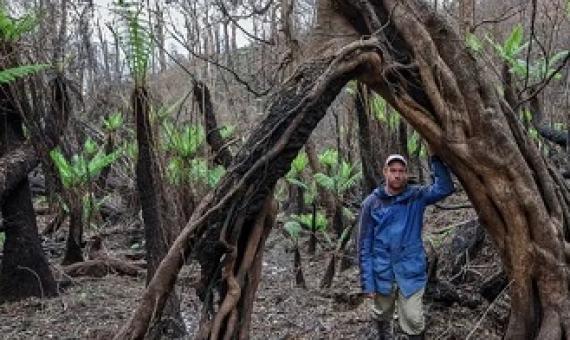 The forest is now terribly silent': land set aside for threatened species entirely burnt out