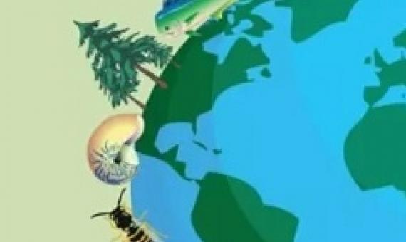 Biodiversity loss is loss for humanity 