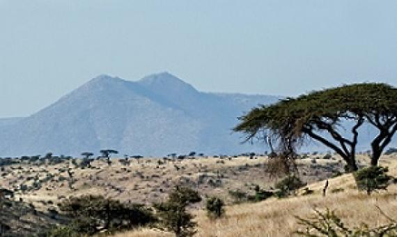 David Clode via Unsplash